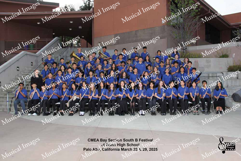 Musical Images